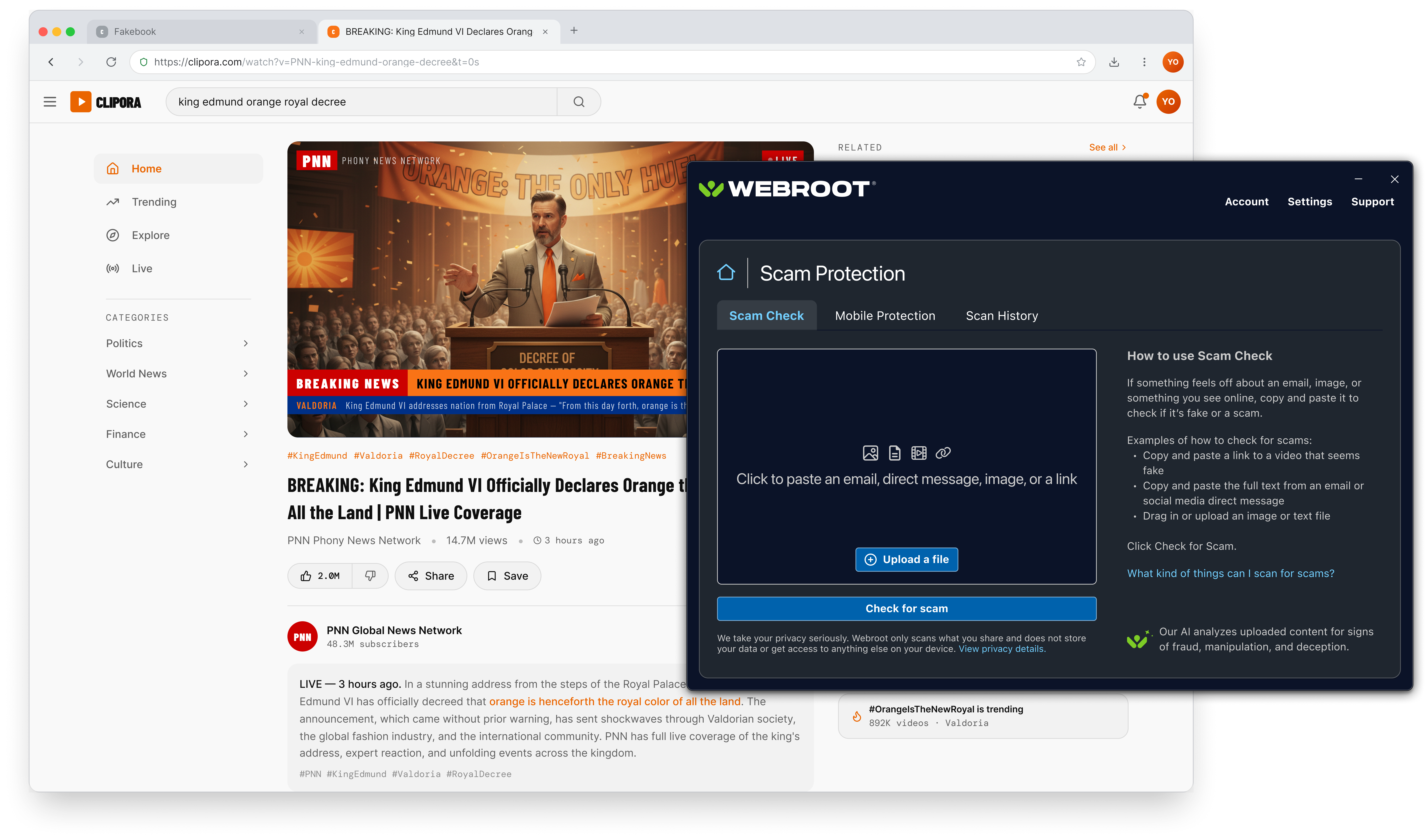 Scam Check tab with a single input zone reading 'Click to paste an image, text content or a link', an Upload a file button, a Check for scam button, and 'How to use Scam Check' guidance with examples alongside.